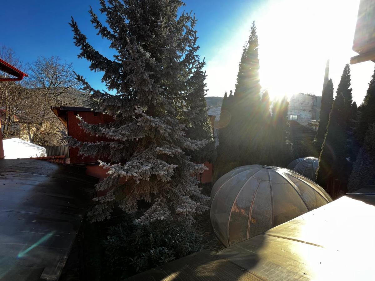 Love hotel Anadi Boutique Only Adult Braşov